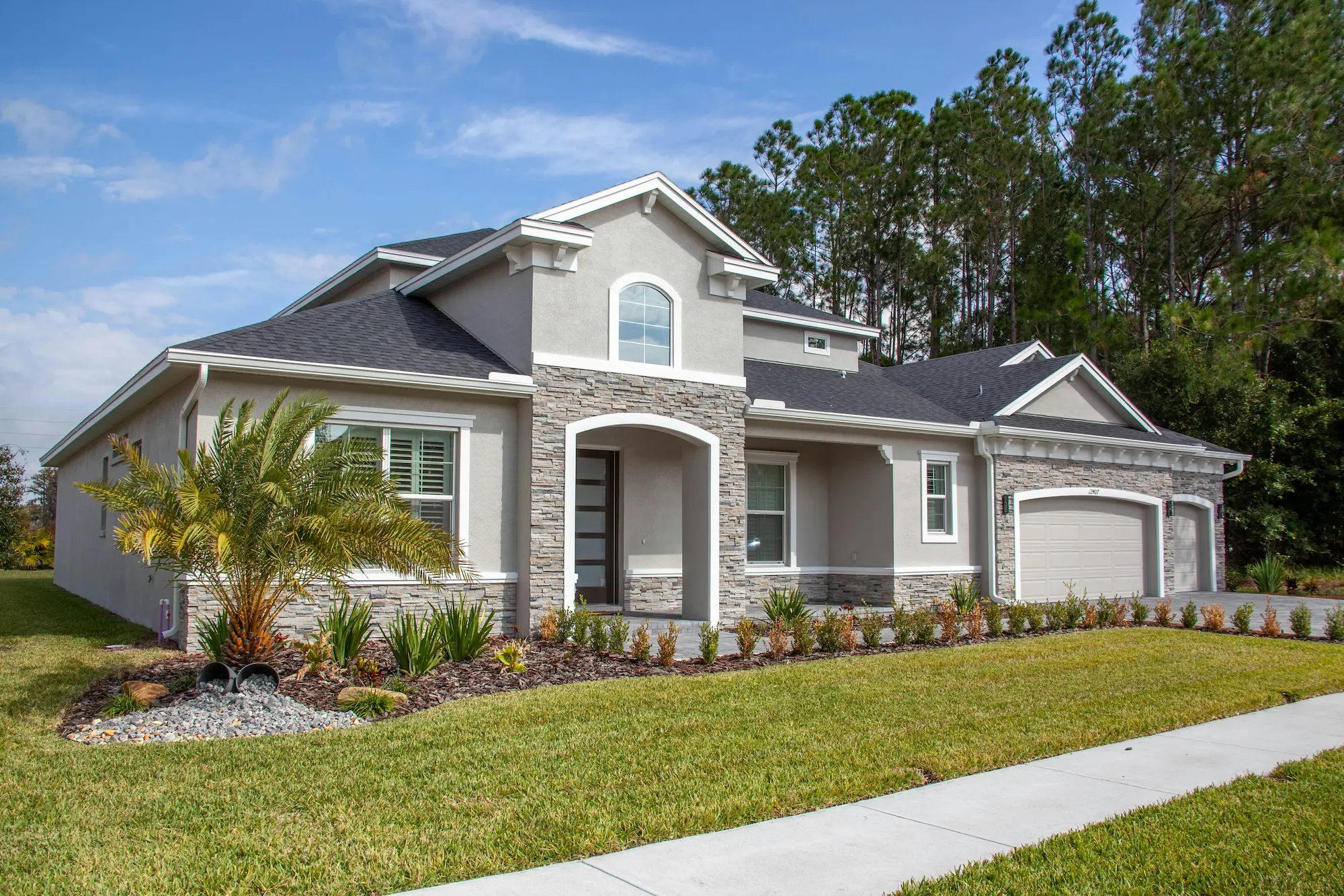 home palm tree